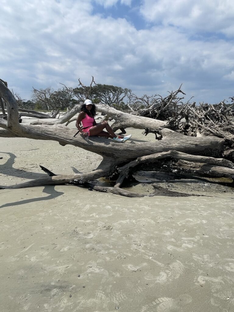 A quiet moment among driftwood on the beach