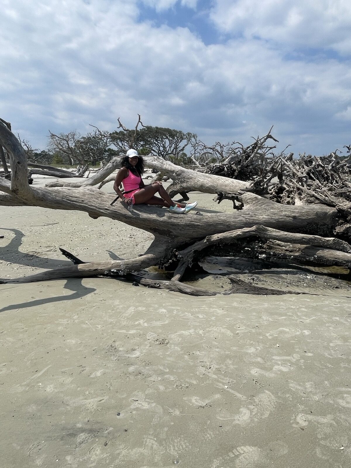 A quiet moment among driftwood on the beach